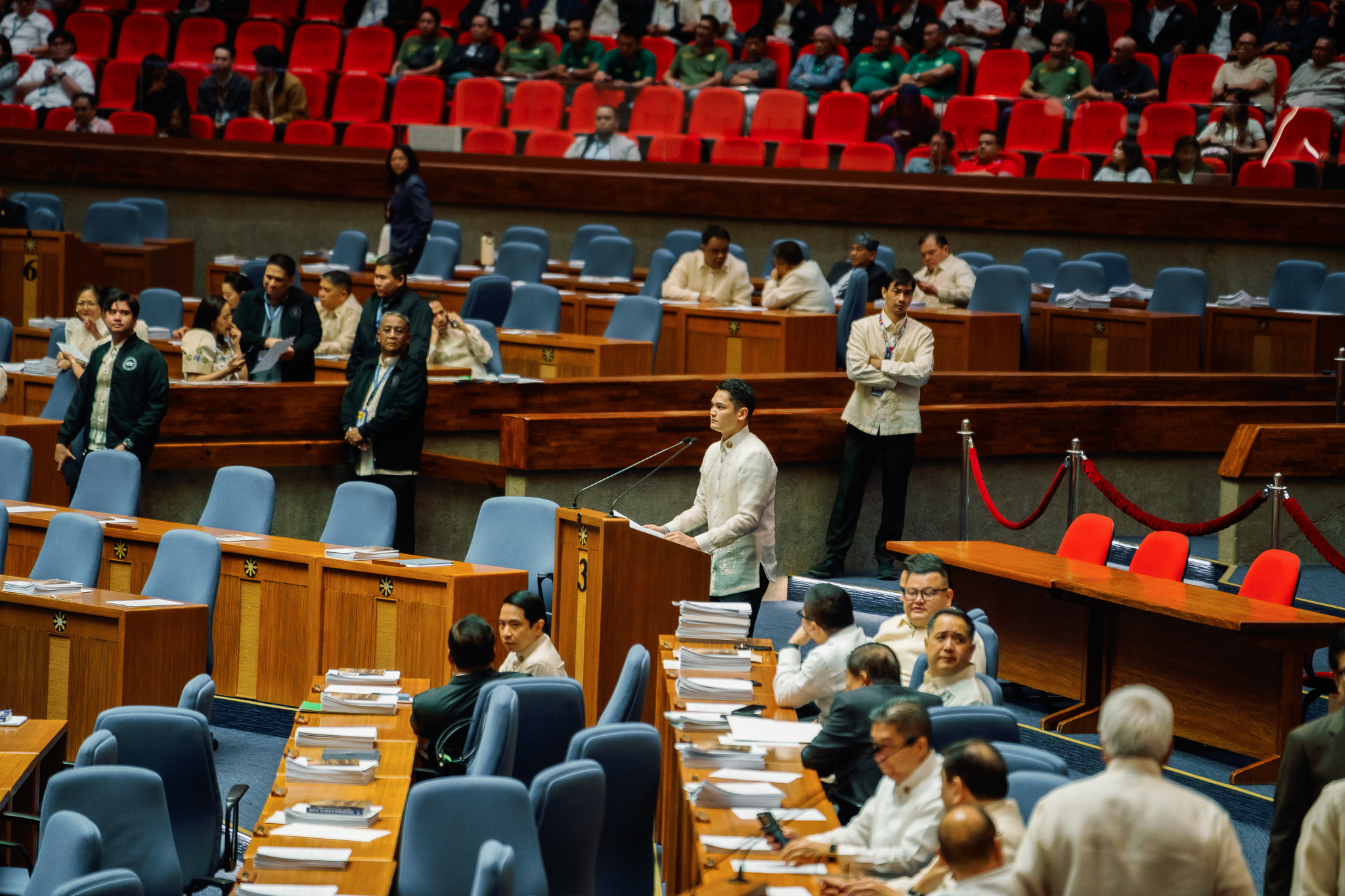 Delivered a Privilege Speech in celebration of National Arts Month